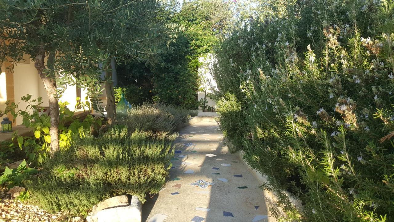Villa Ceni - Appartamenti Con Camere, Cucina, Wc E Terrazza Sul Mare In Villa Con Piscina, Giardino E Parcheggio Marinella di Selinunte Luaran gambar